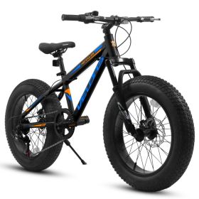 V20235 20 Inch Fat Tire Bike 7 Speed Mountain Bike, Dual Disc Brakes, High Carbon Steel Frame, Front Suspension, Mountain Buggy, City Commuter Ci (Option: BLACK)